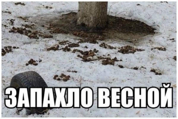 прикол про весну