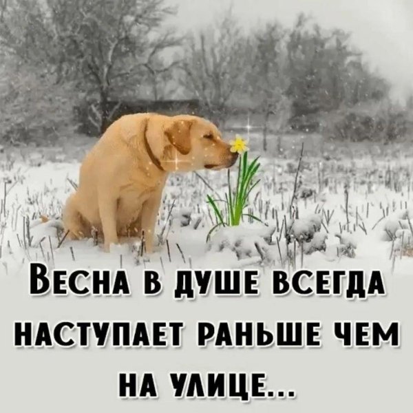 придет весна