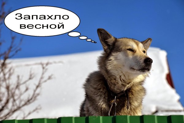 запах весны