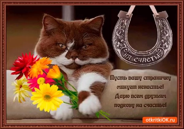 пожелание удачи