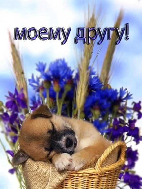 любимому другу