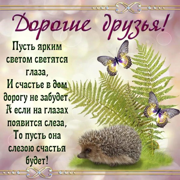 ежик на прозрачном фоне