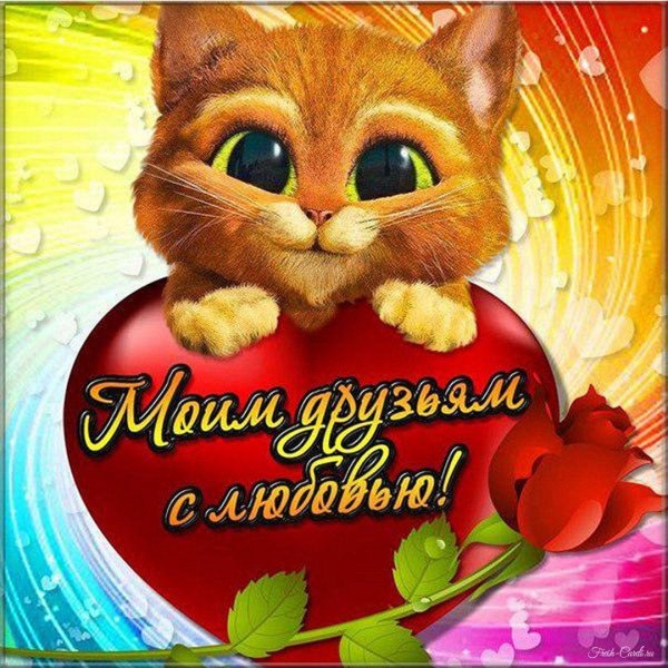 моим друзьям