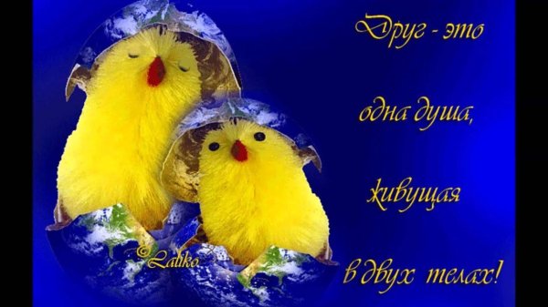 пасхальные цыплята