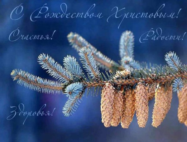 с рождеством