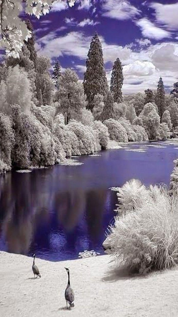 инфракрасные снимки