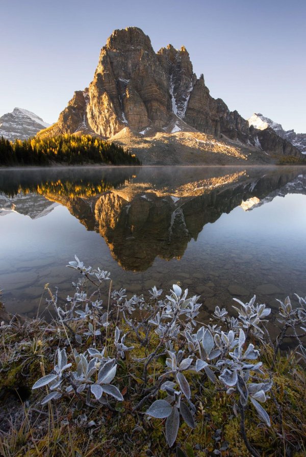 ассинибойн британская колумбия канада