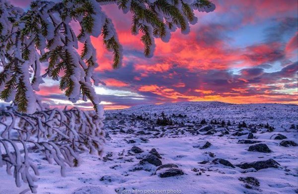 красота зимы