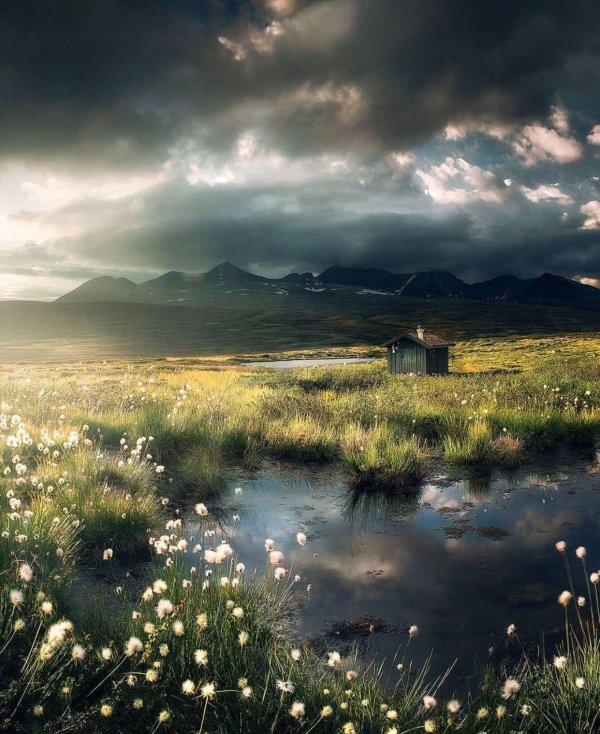 волшебные пейзажи норвегии