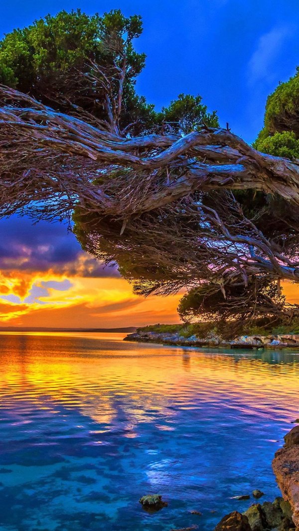 природа красота