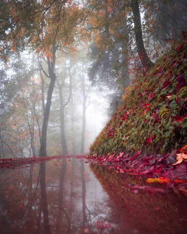 фотохудожник природа