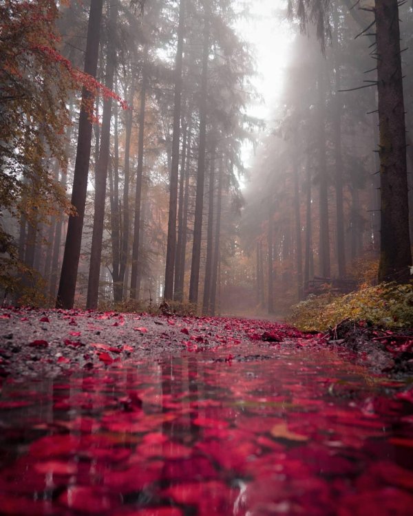 природа красивая