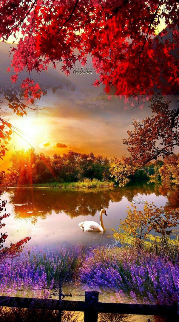 природа осенняя