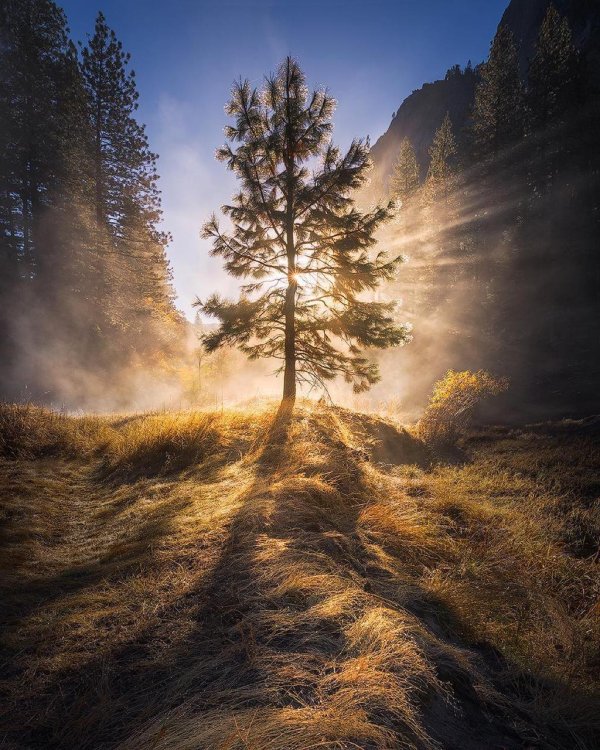 природа красота