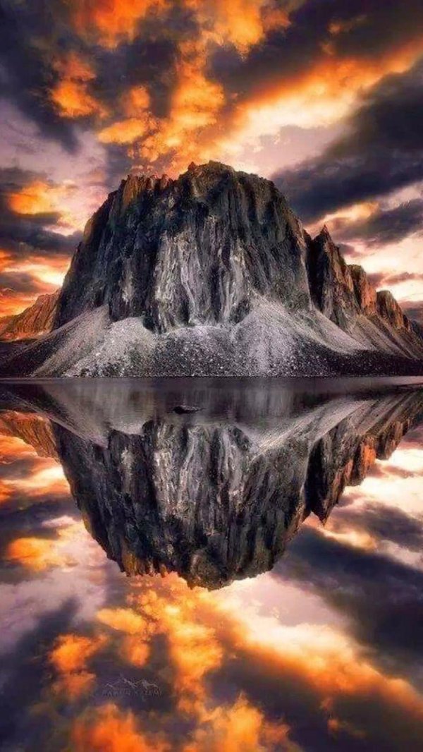 удивительная природа