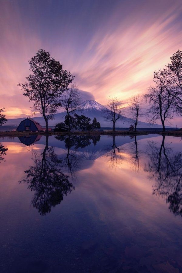 гора фудзияма в японии на восходе солнца