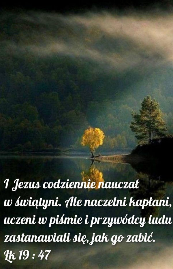 тишина природы