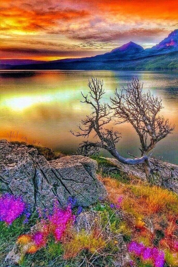 пейзаж горный