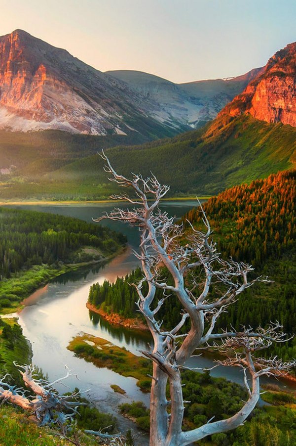 провинция альберта канада