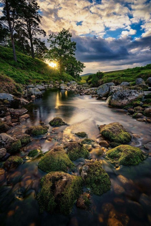 природа красивые места