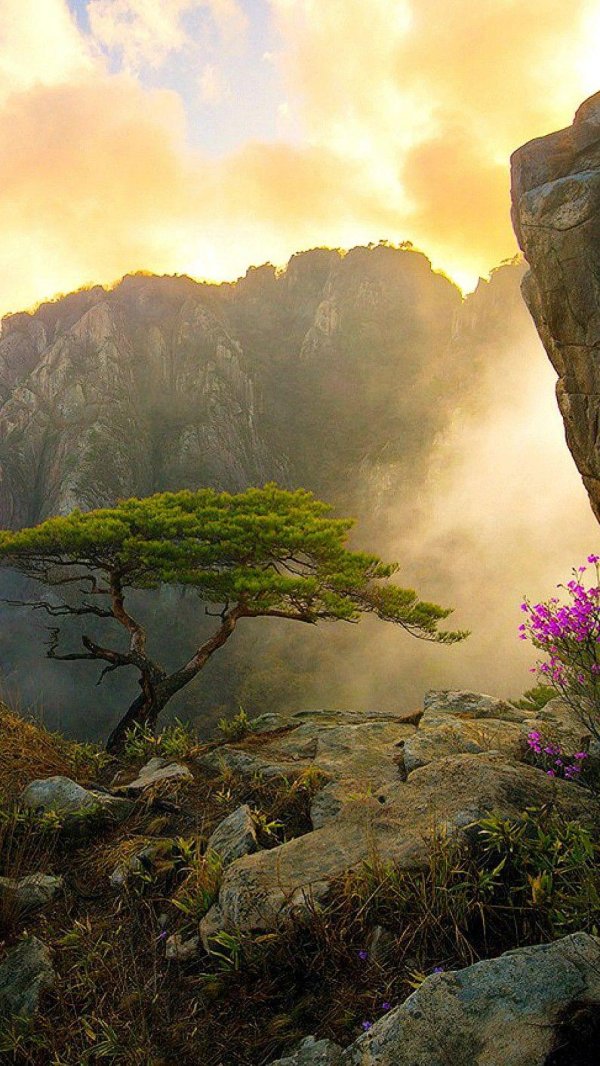 горы хуаншань китай