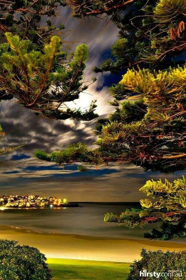 экзотическая природа