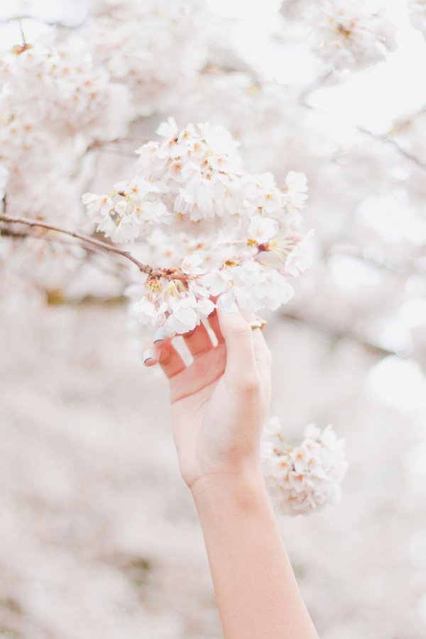 весенняя эстетика