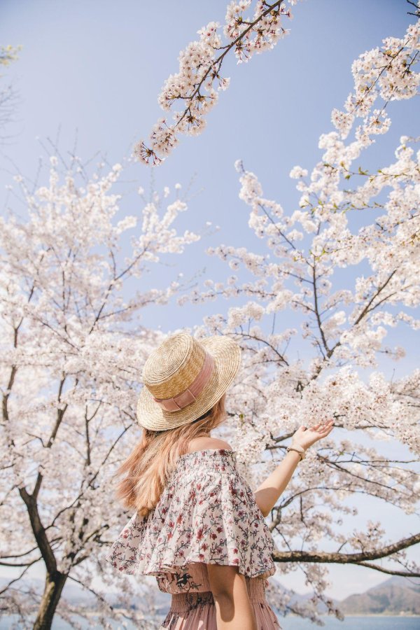 япония пейзаж