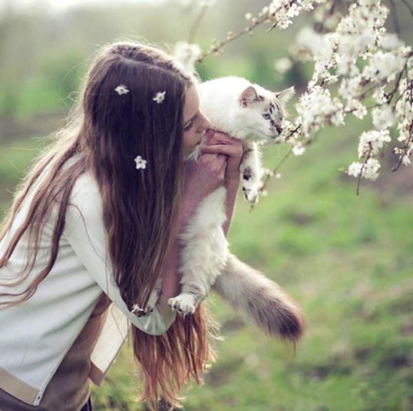 девушка с кошками