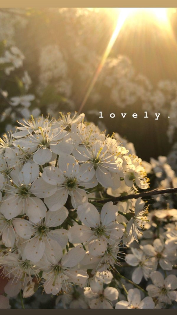 хорошей весны