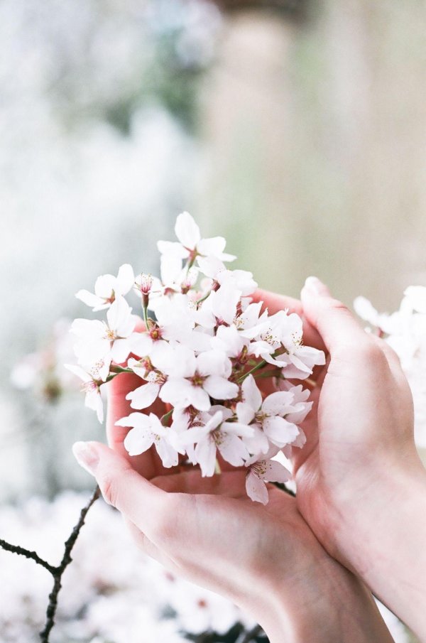 рука с цветами