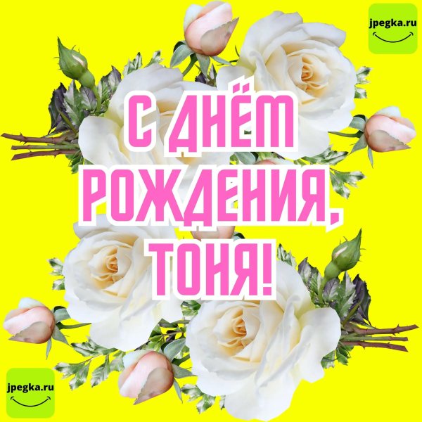 с днём рождения антонина красивые поздравления