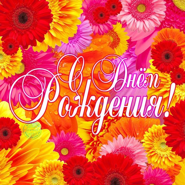 на день рождение