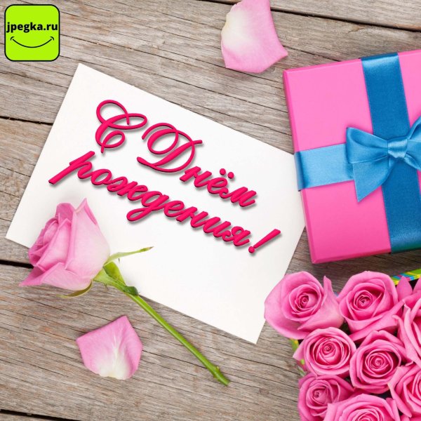 роза розовая