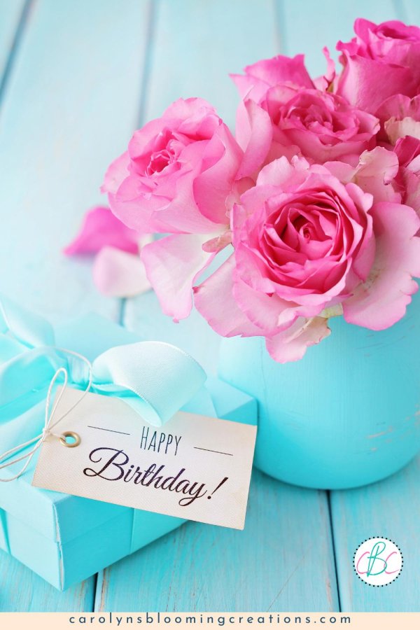 розовая роза