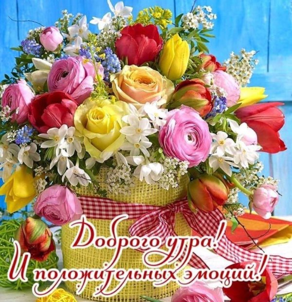 поздравительная открытка