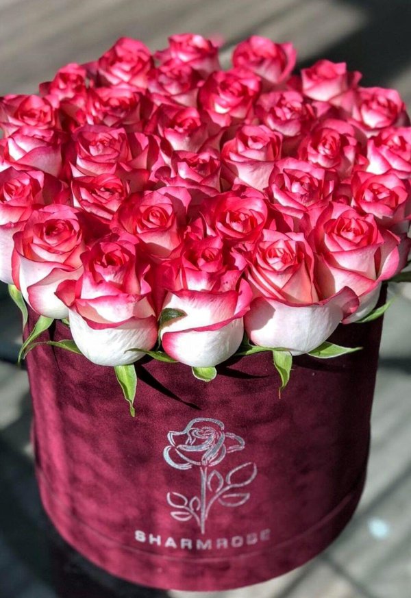 букет красивый роз