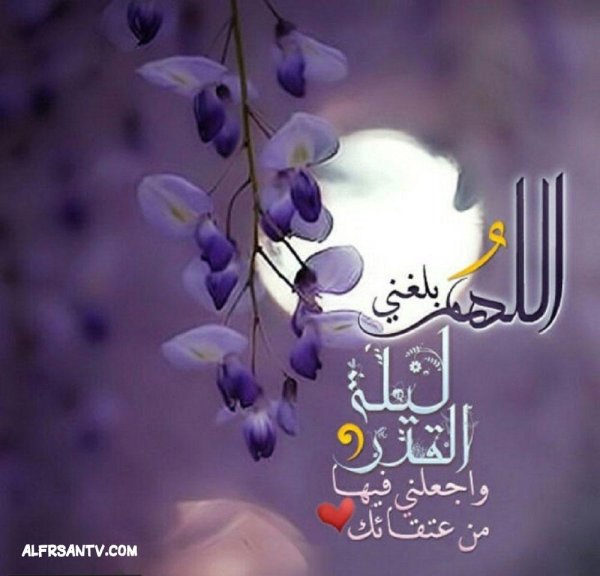 мусульманские цветы