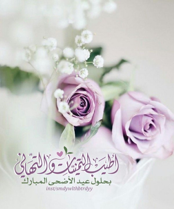 цитата мусульманская