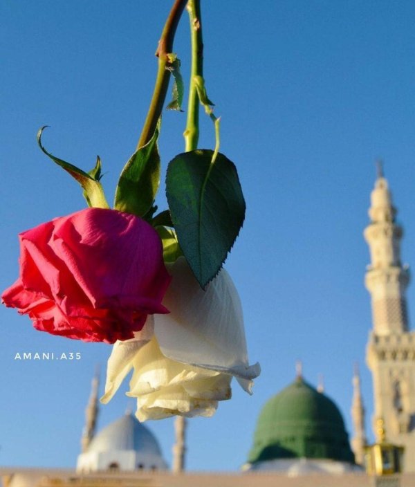 мечети ислама