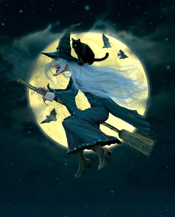 терри пратчетт ведьмы