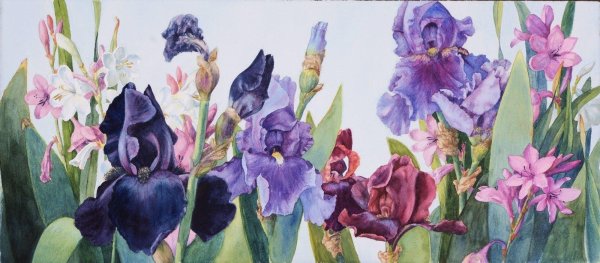 картины с ирисами
