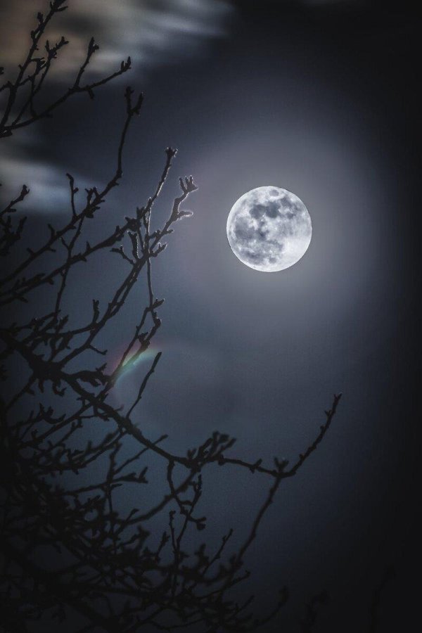 ночь полнолуния