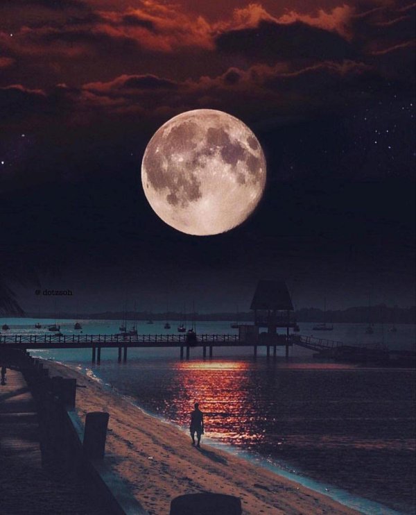 лунная ночь