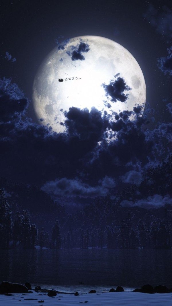лунная ночь