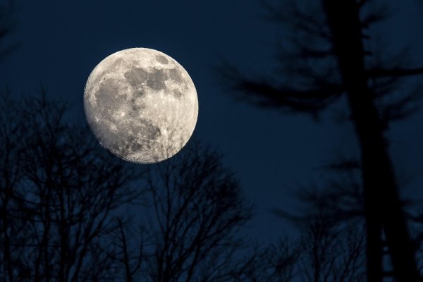 луна круглая