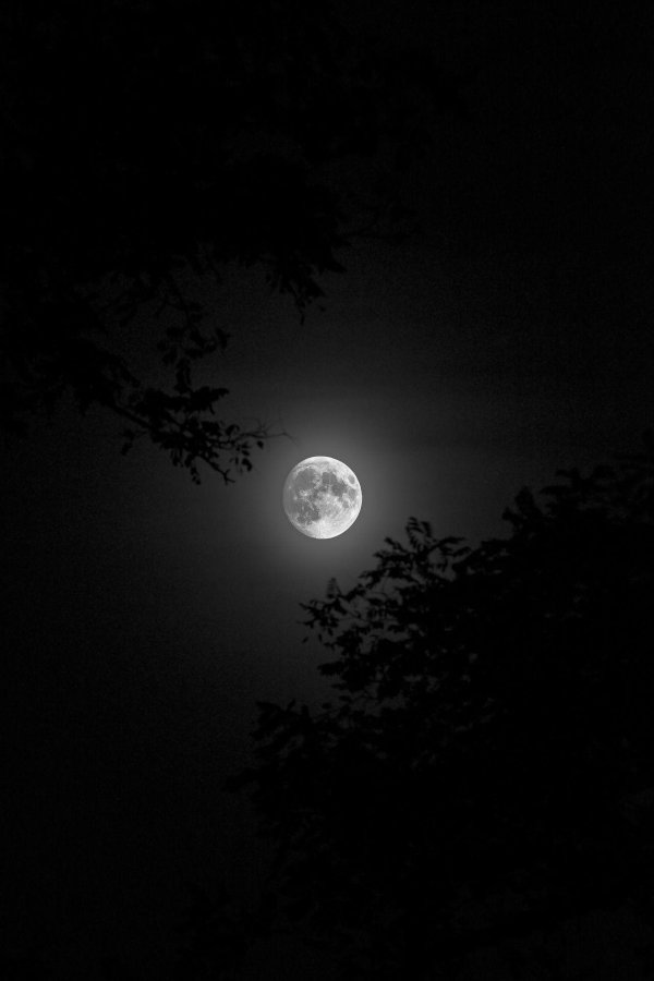 луна темная