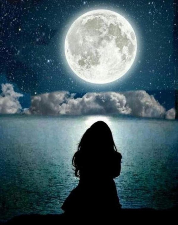 на фоне луны