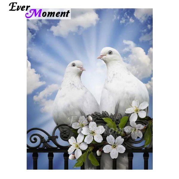 пара голубей