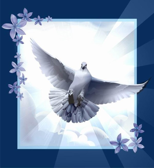 голубь святой дух